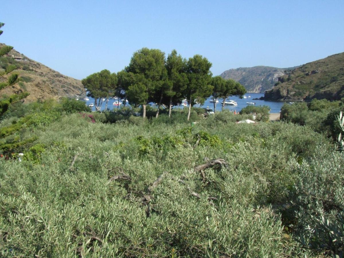 Hotel Cala Joncols Roses Værelse billede